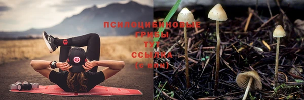 винт Абинск