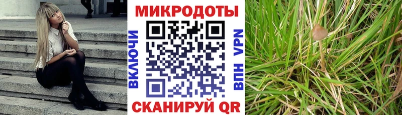 Псилоцибиновые грибы Psilocybine cubensis  купить  сайты  Домодедово 
