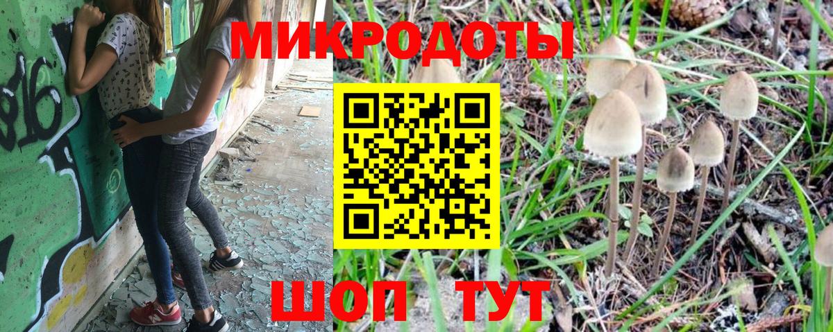 Псилоцибиновые грибы GOLDEN TEACHER Домодедово