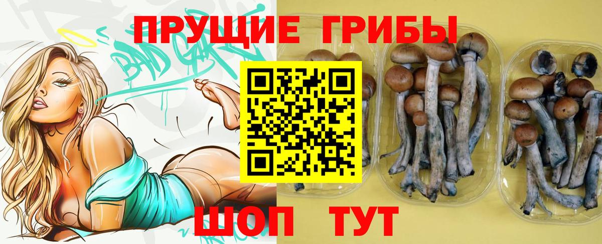 Домодедово  Псилоцибиновые грибы Psilocybe  Вход с VPN 